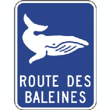 Jalonnement le long de la route ou du circuit touristique