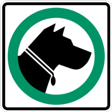 Médaille obligatoire