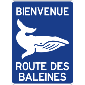 Identification de la route ou du circuit touristique